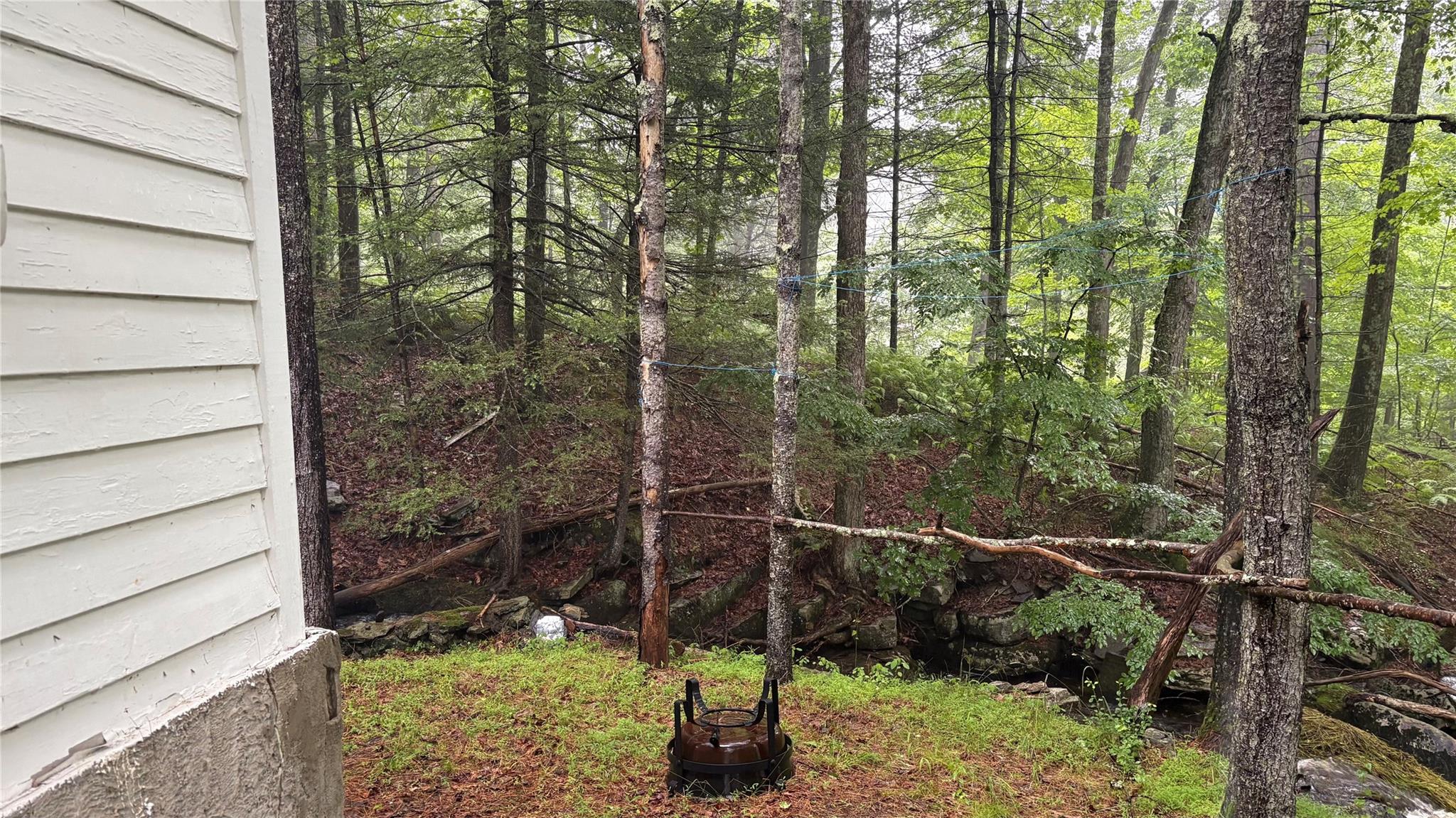 20 Airport Road Eldred, NY 12732 - Photo 8 of 23 a view of a forest