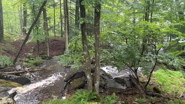 a view of a wooden fence under a large tree