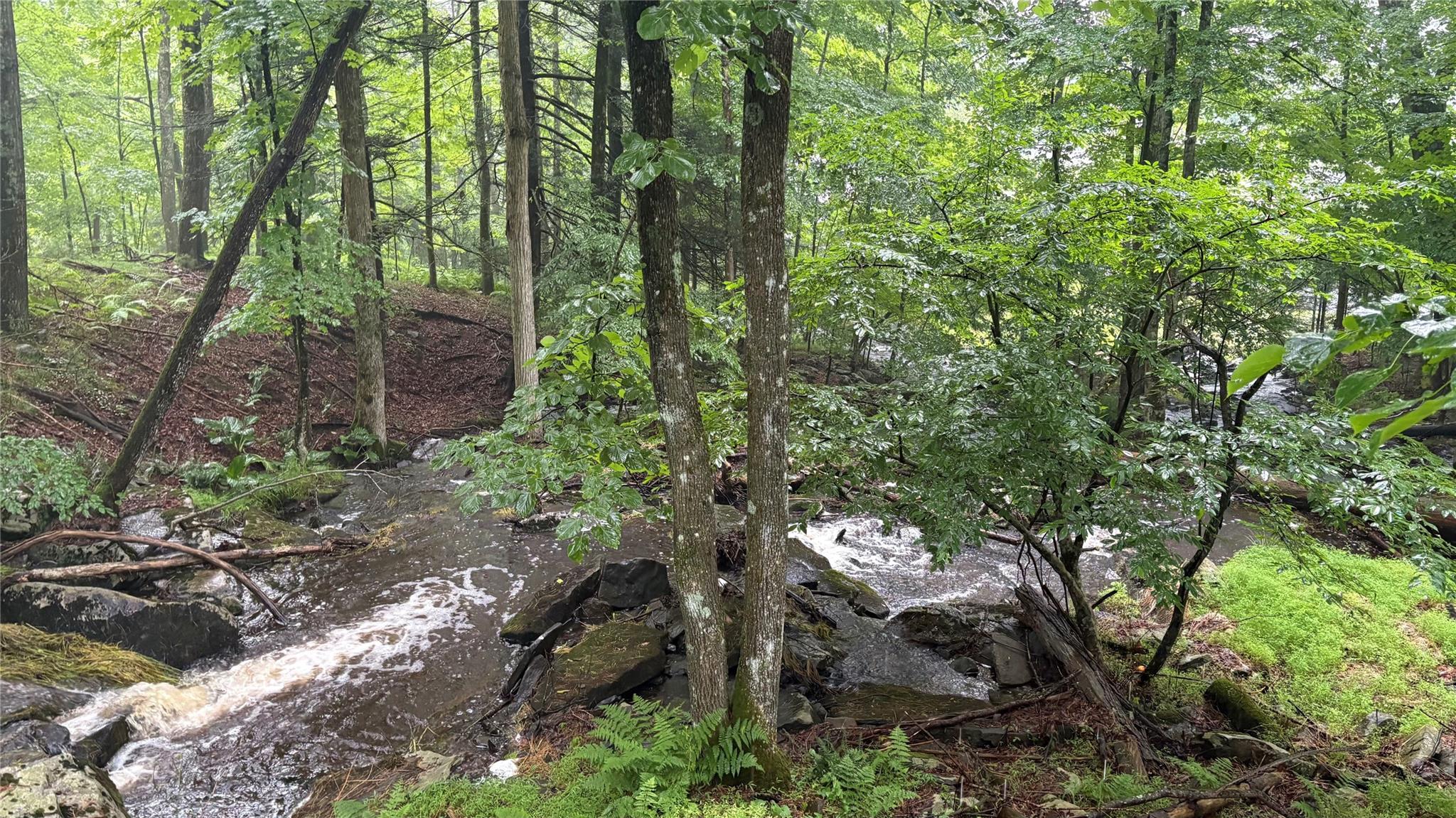 20 Airport Road Eldred, NY 12732 - Photo 9 of 23 a view of outdoor space and green space