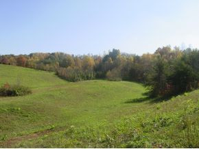 0 Shaw Road, Unit 3 4 5 Chuckey, TN 37641 - Photo 3 of 16 Photo 3