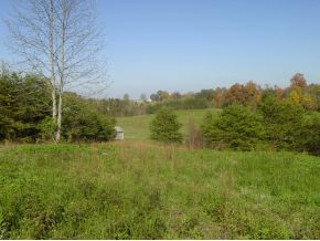 0 Shaw Road, Unit 3 4 5 Chuckey, TN 37641 - Photo 4 of 16 Photo 4