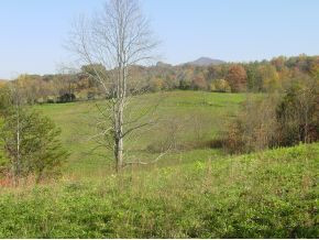 0 Shaw Road, Unit 3 4 5 Chuckey, TN 37641 - Photo 10 of 16 Photo 10