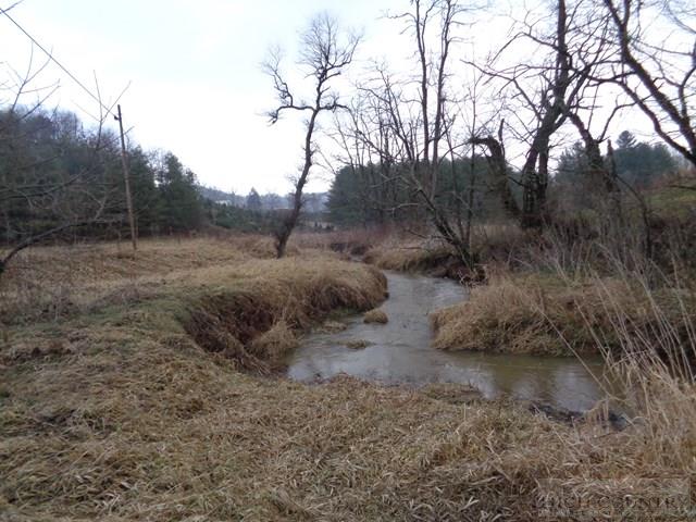 Grassy Creek Road Grassy Creek, NC 28631 - Photo 1 of 12