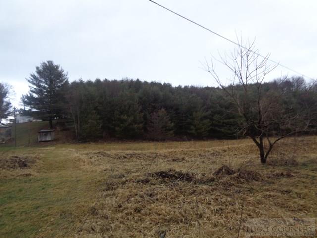Grassy Creek Road Grassy Creek, NC 28631 - Photo 11 of 12