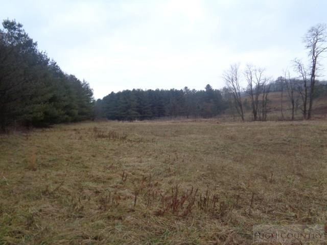 Grassy Creek Road Grassy Creek, NC 28631 - Photo 12 of 12
