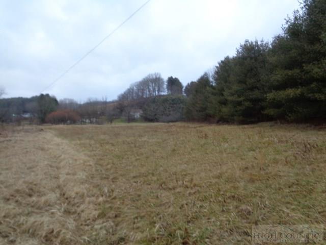 Grassy Creek Road Grassy Creek, NC 28631 - Photo 2 of 12