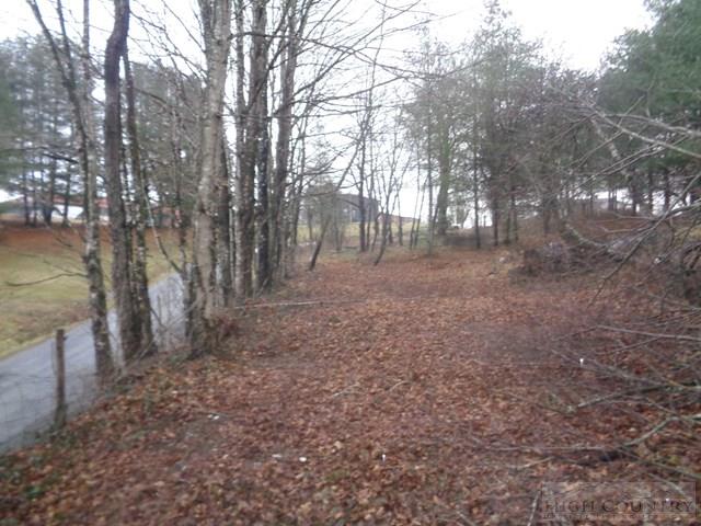 Grassy Creek Road Grassy Creek, NC 28631 - Photo 4 of 12