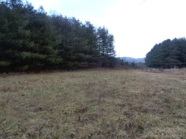 Grassy Creek Road Grassy Creek, NC 28631 - Photo 5 of 12