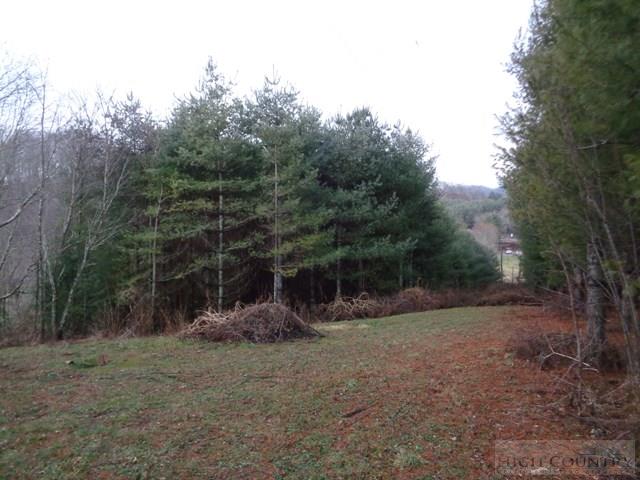 Grassy Creek Road Grassy Creek, NC 28631 - Photo 6 of 12