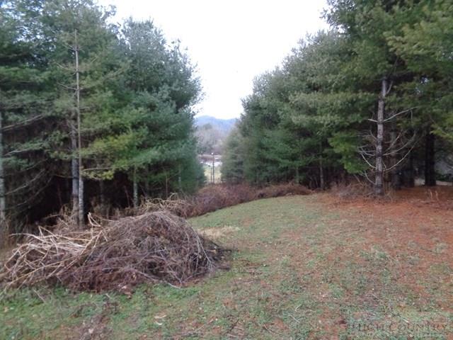 Grassy Creek Road Grassy Creek, NC 28631 - Photo 7 of 12