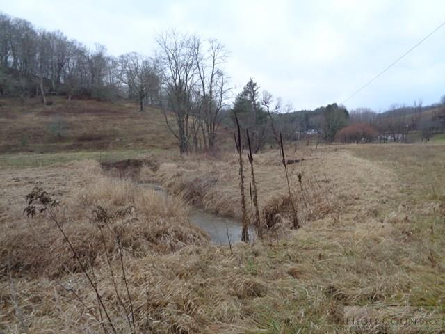 Grassy Creek Road Grassy Creek, NC 28631 - Photo 8 of 12