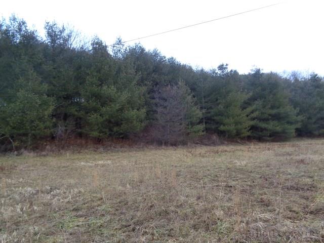 Grassy Creek Road Grassy Creek, NC 28631 - Photo 9 of 12