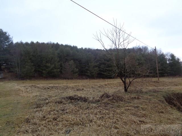 Grassy Creek Road Grassy Creek, NC 28631 - Photo 10 of 12