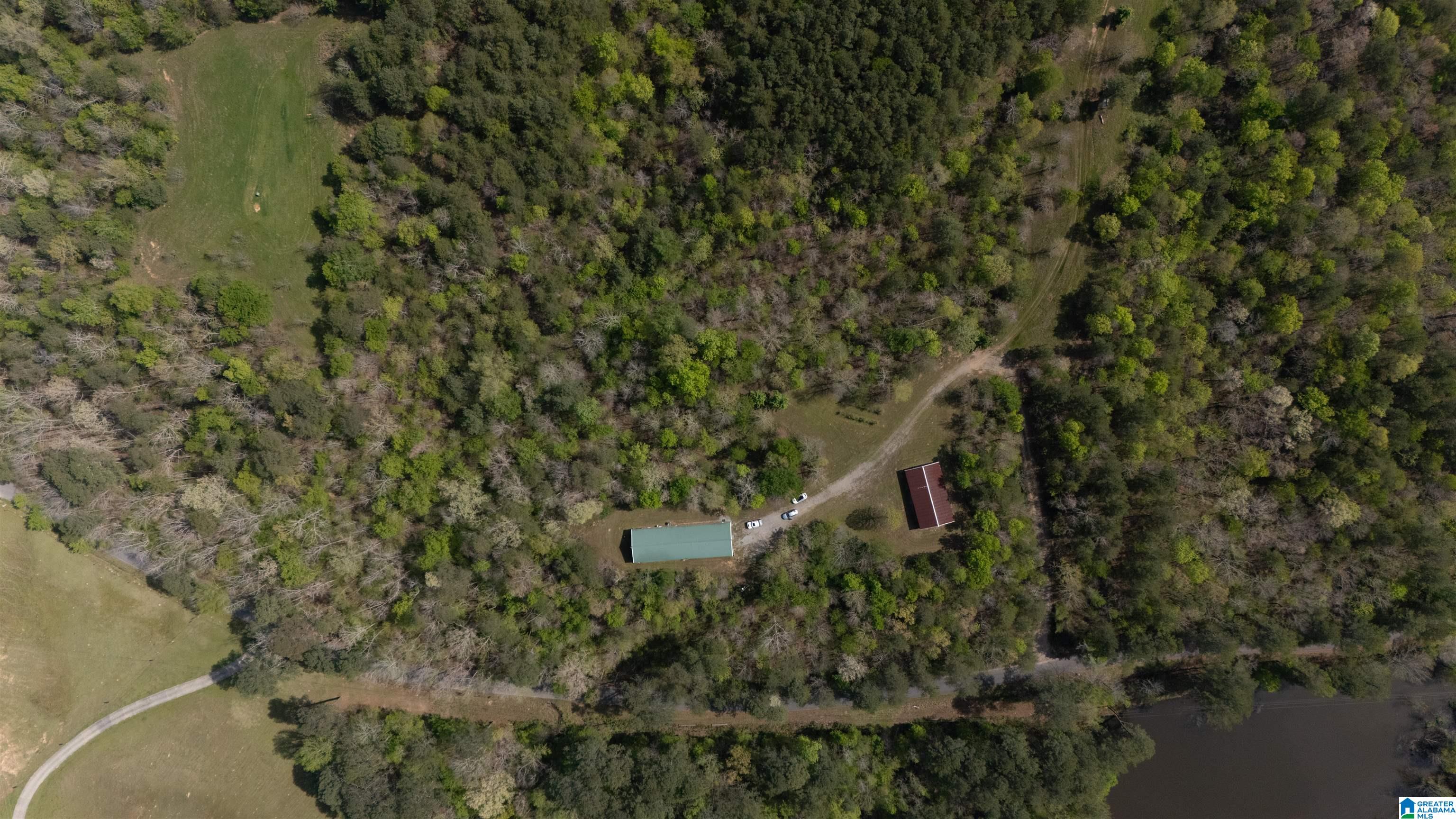 2121 Center Hill Road Trafford, AL 35172 - Photo 62 of 100