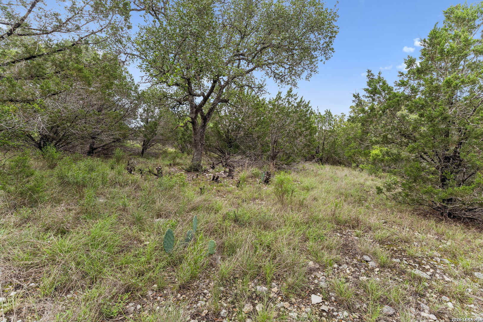293 River Cliff Place Spring Branch, TX 78070 - Photo 11 of 15