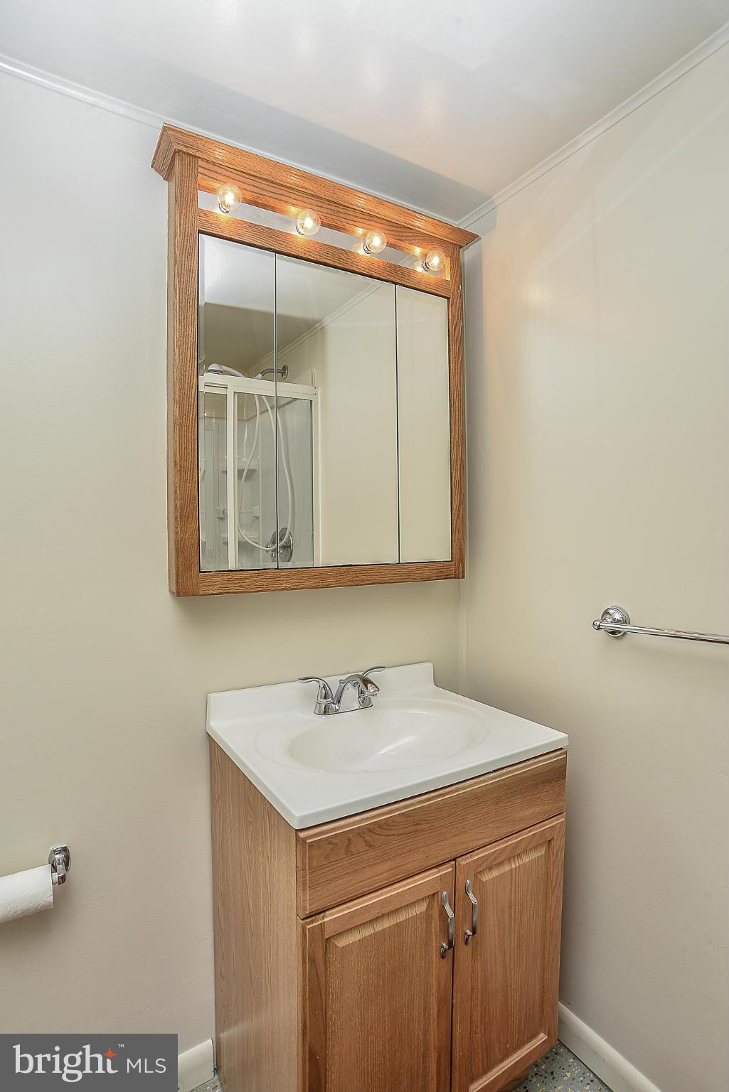 6429 Kalmia Street Springfield, VA 22150 - Photo 22 of 30 Bath