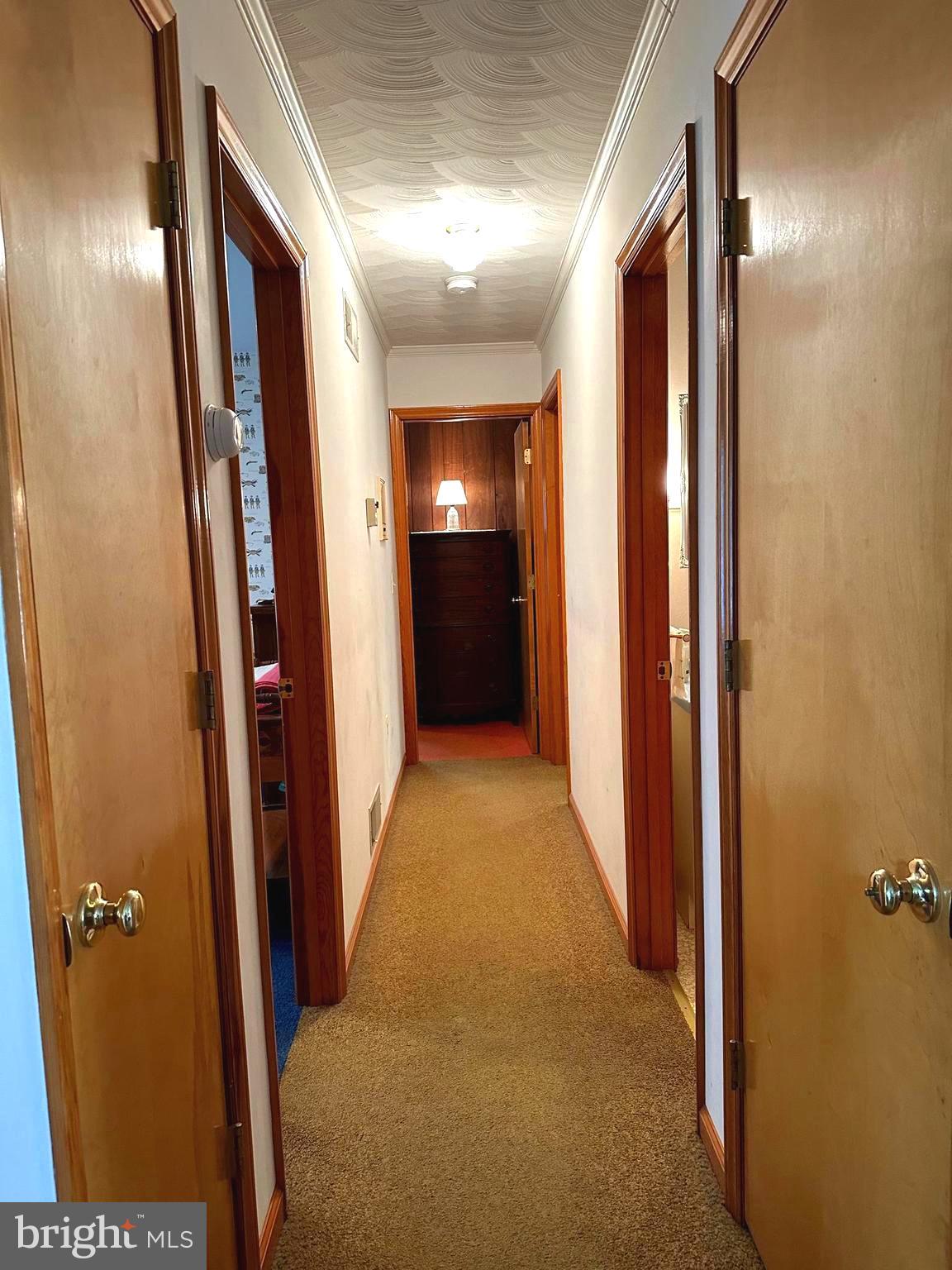 9305 Old Waterloo Road Warrenton, VA 20186 - Photo 21 of 63 Hallway with artistic custom ceilings (Sun).