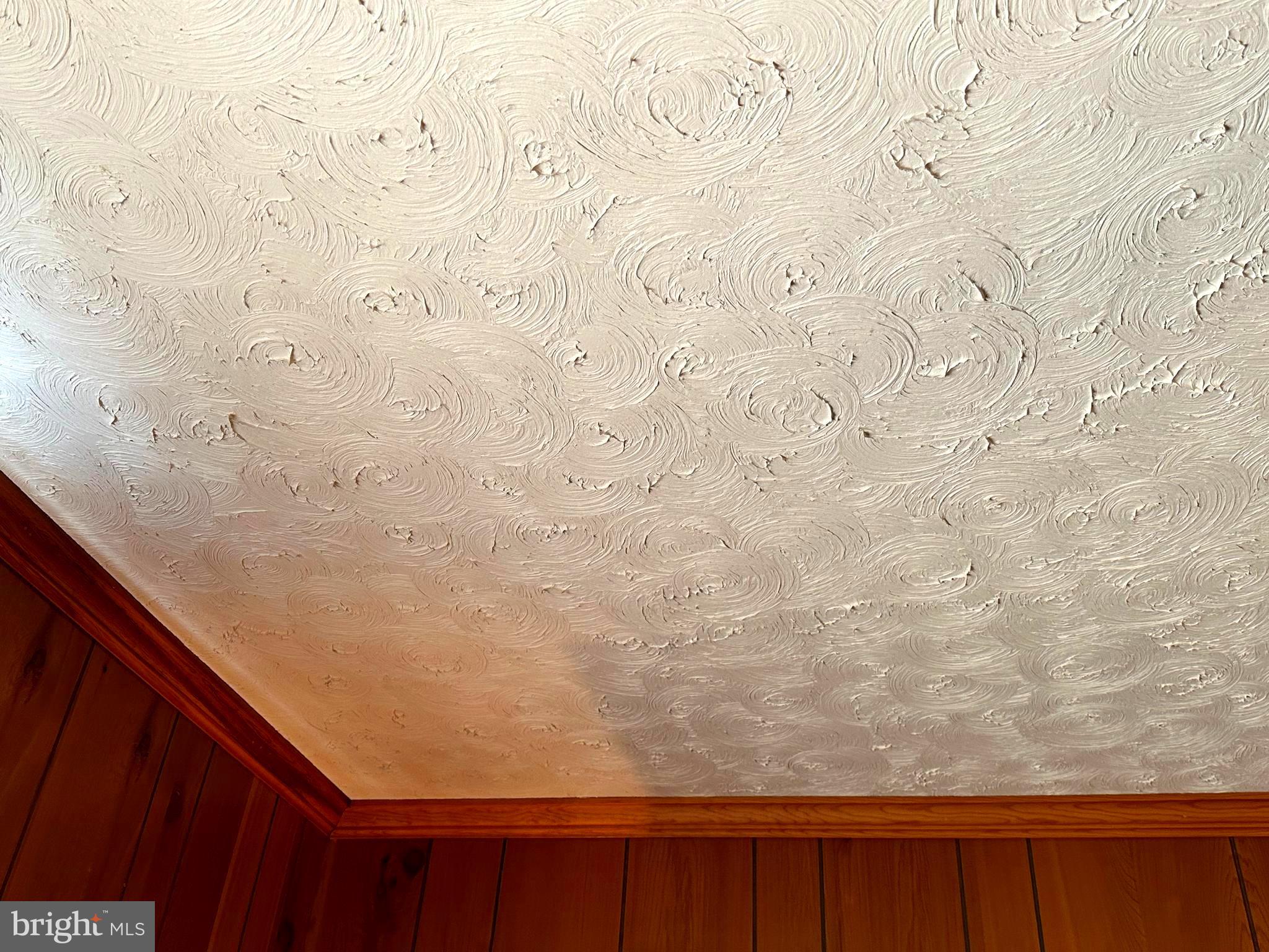 9305 Old Waterloo Road Warrenton, VA 20186 - Photo 34 of 63 BR #4 w/artistic custom ceilings (Puppy Tracks).
