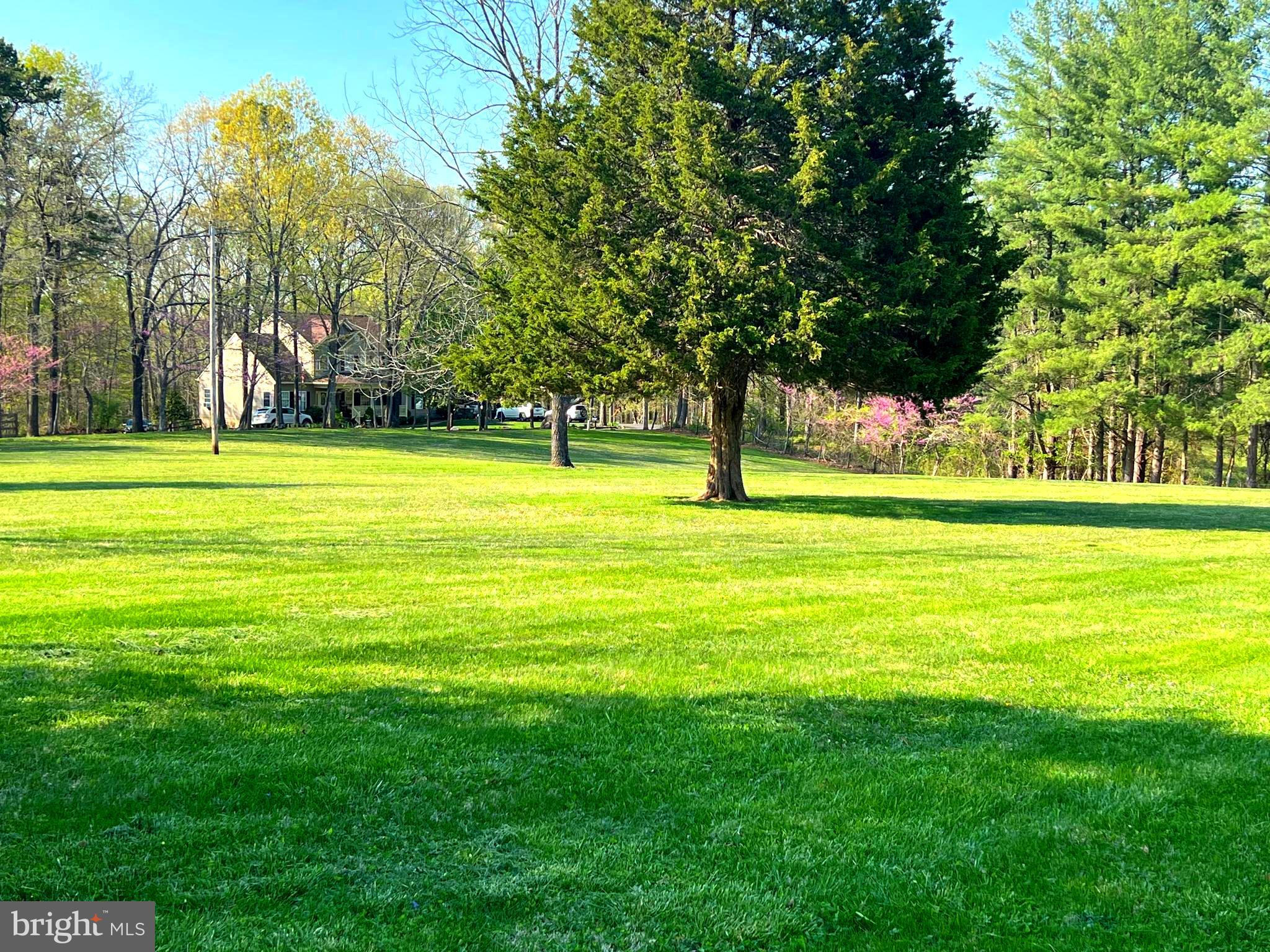 9305 Old Waterloo Road Warrenton, VA 20186 - Photo 48 of 63 Front Yard looking out over field..