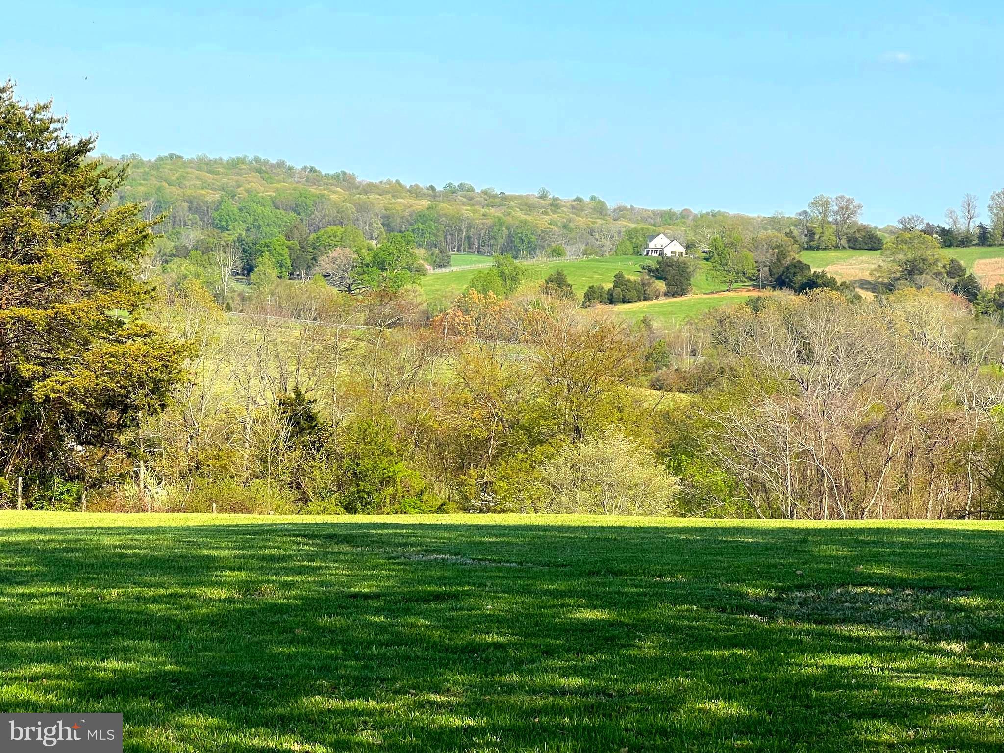9305 Old Waterloo Road Warrenton, VA 20186 - Photo 49 of 63 View from Back Yard toward Vineyard in distance.