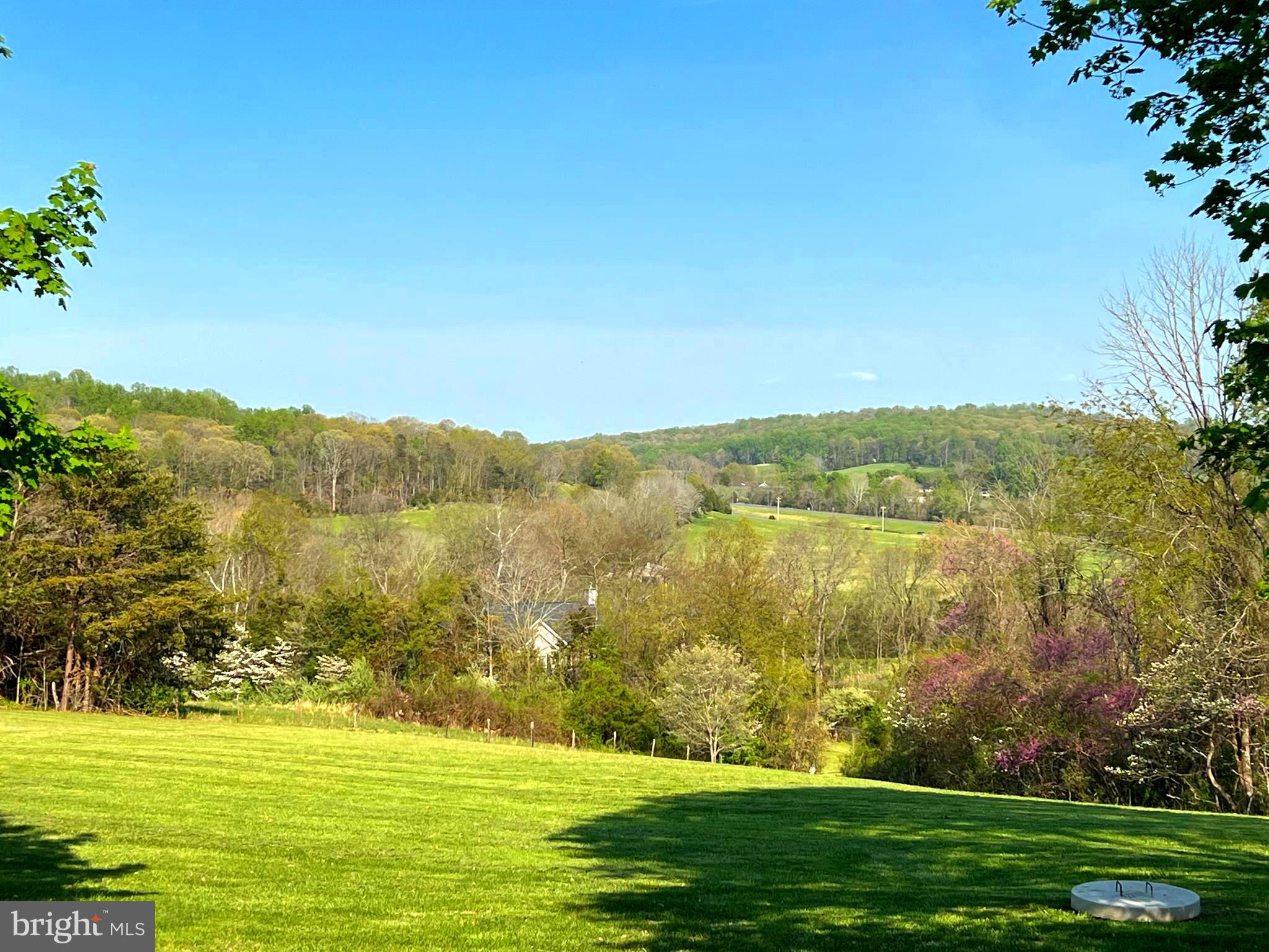 9305 Old Waterloo Road Warrenton, VA 20186 - Photo 50 of 63 View from Back Yard . Possible Pool location.