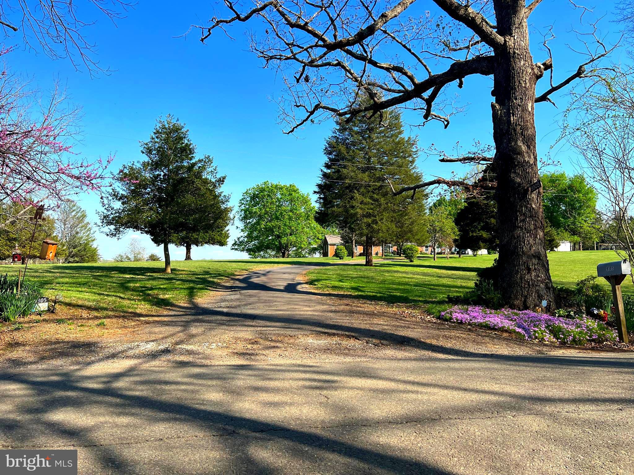 9305 Old Waterloo Road Warrenton, VA 20186 - Photo 58 of 63 Driveway to your new Home & room for your Horses.