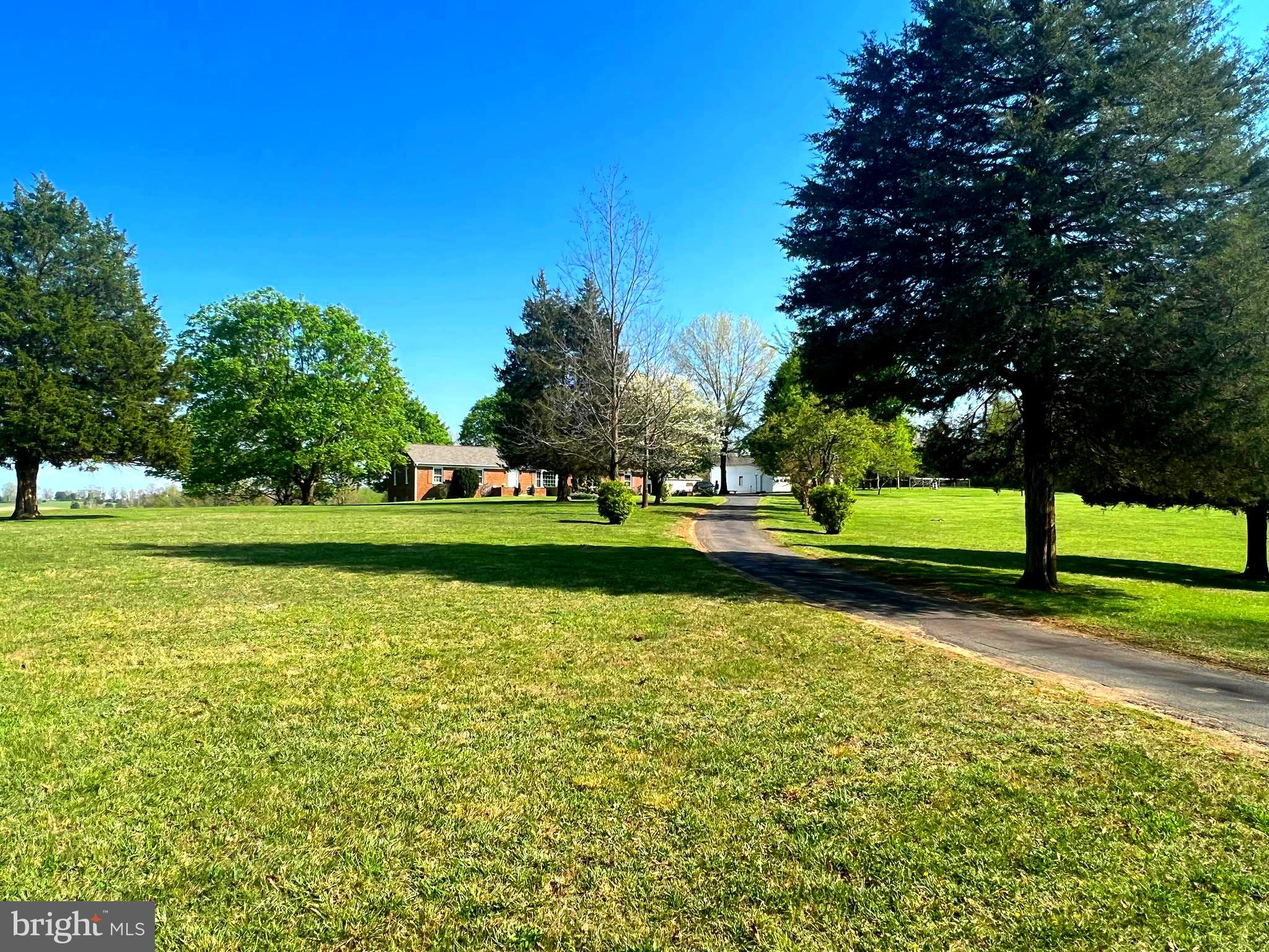9305 Old Waterloo Road Warrenton, VA 20186 - Photo 59 of 63 Front Field.