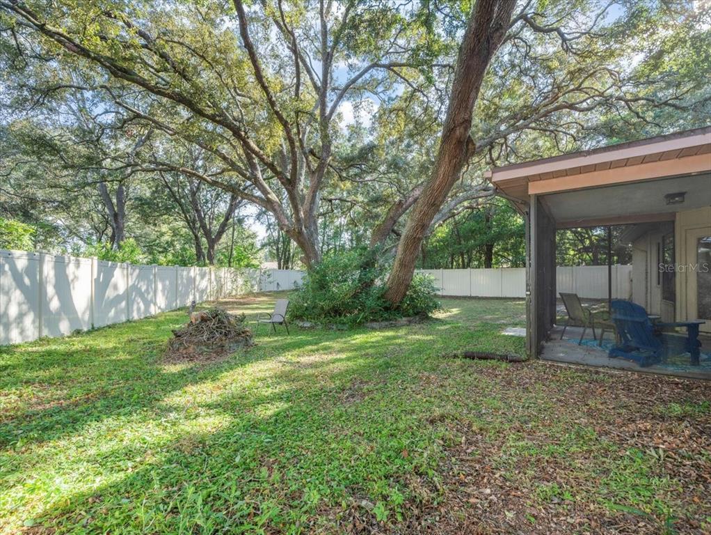 8316 Kingsdale Street Spring Hill, FL 34608 - Photo 23 of 30 a view of a yard with a tree