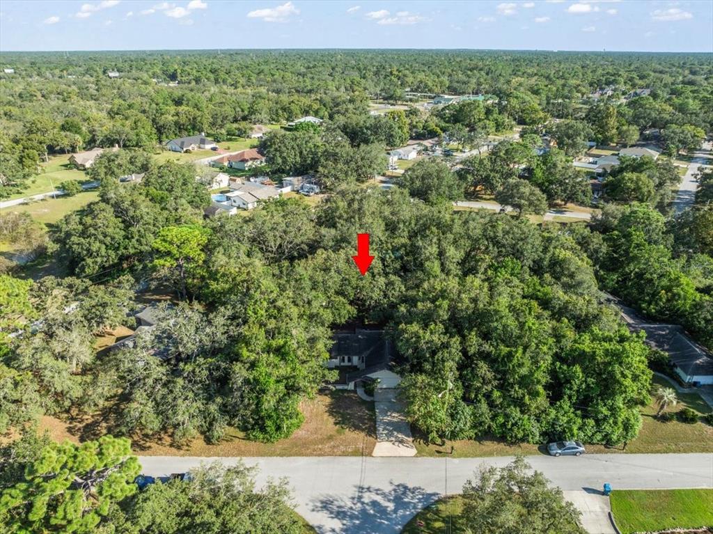 8316 Kingsdale Street Spring Hill, FL 34608 - Photo 27 of 30