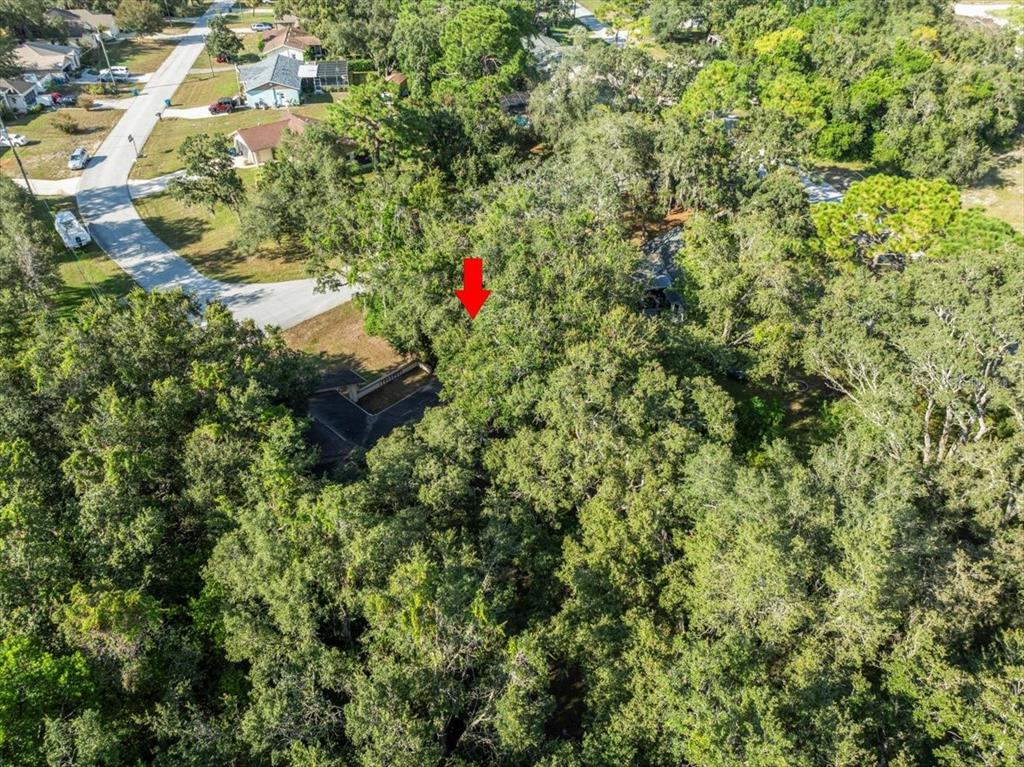 8316 Kingsdale Street Spring Hill, FL 34608 - Photo 28 of 30 a backyard of a house with lots of green space