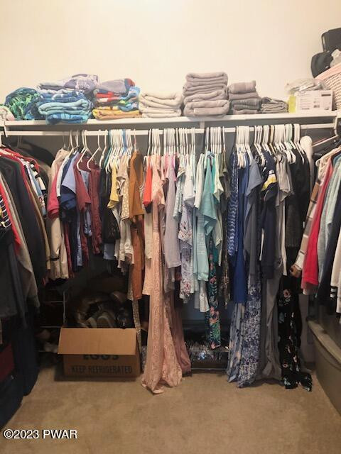 113 Beecher Road Dingmans Ferry, PA 18328 - Photo 13 of 24 a view of walk in closet with clothes and shoes