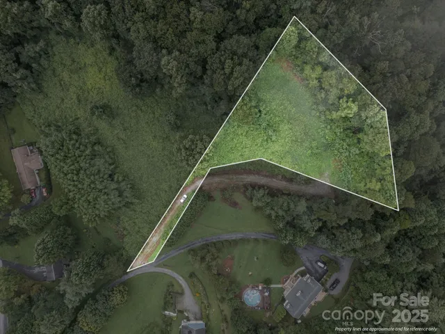 a view of a dry yard