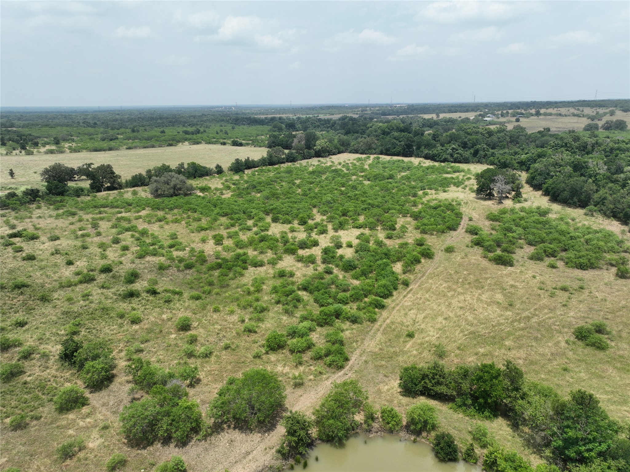 Tbd Lot 3 Tbd Road Red Rock, TX 78662 - Photo 4 of 11