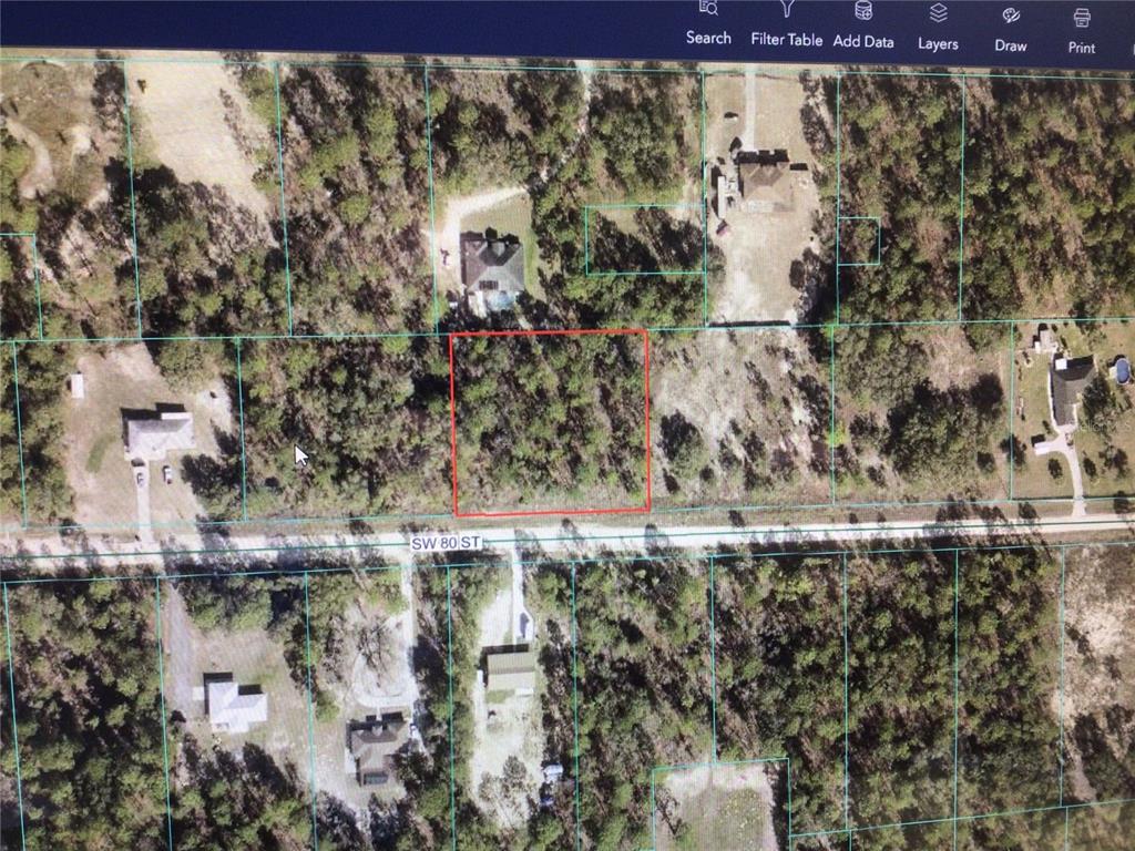 0 Southwest 80th Street Dunnellon, FL 34432 - Photo 4 of 5