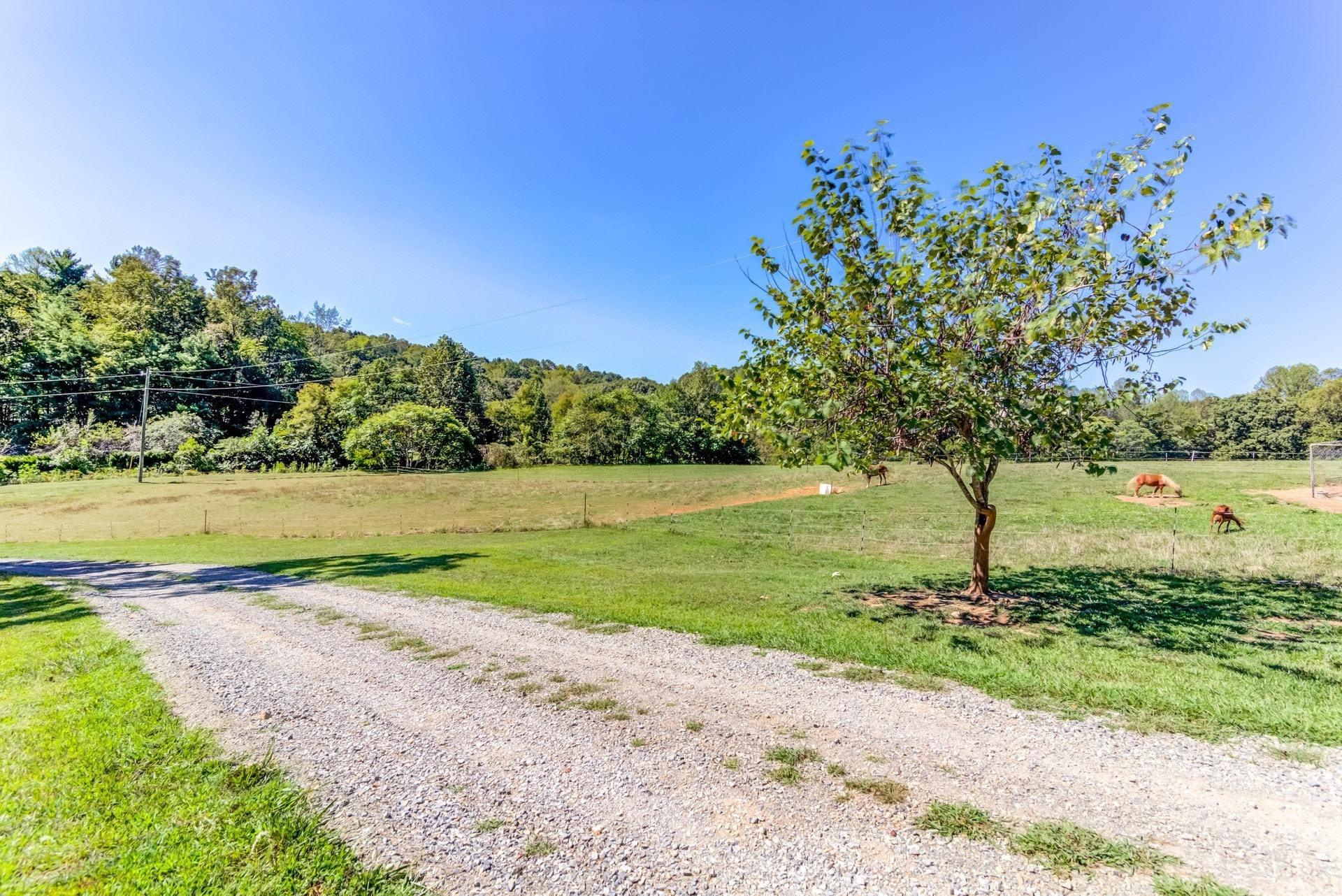 1383 6 Mile Post Road Callaway, VA 24067 - Photo 30 of 30 a view of a park with a tree in the background