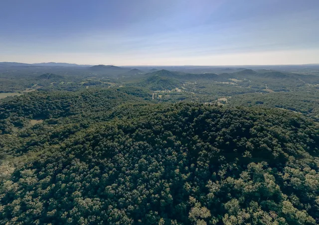 an aerial view of houses covered in trees
