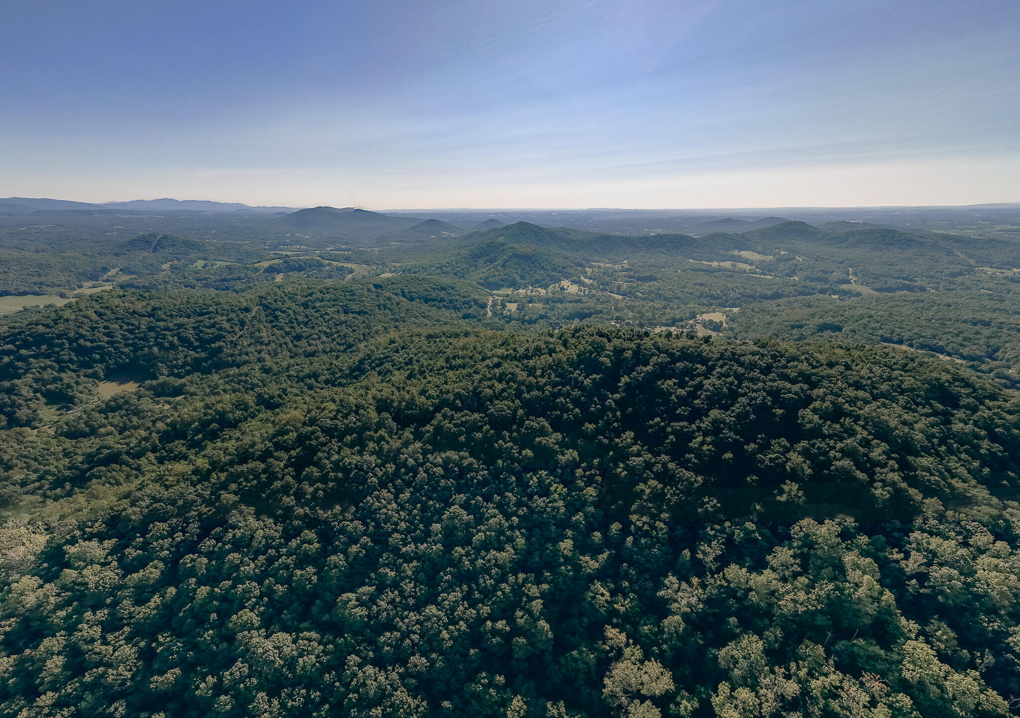 0 Nemmo Road Vinton, VA 24179 - Photo 11 of 18 an aerial view of houses covered in trees