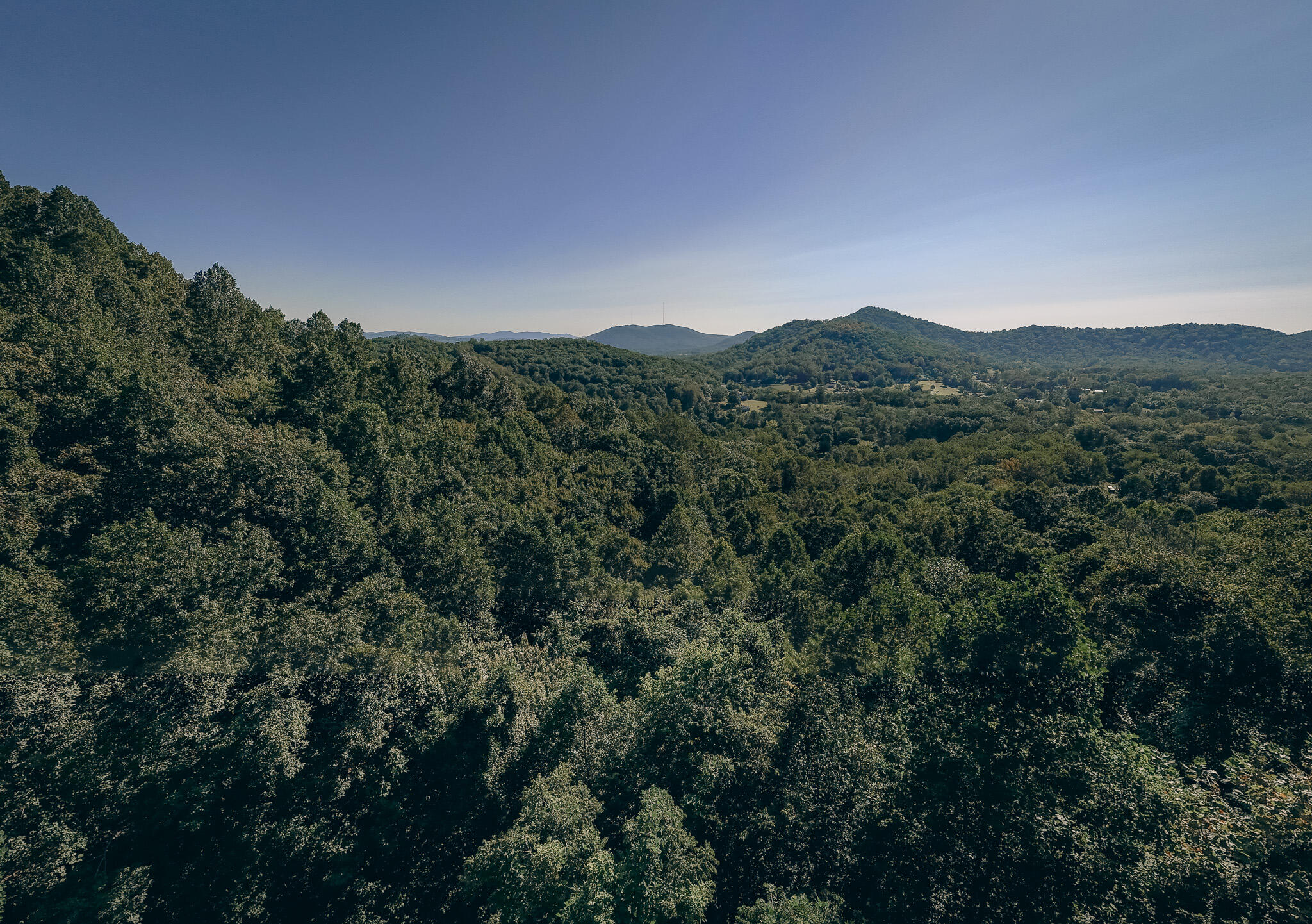 0 Nemmo Road Vinton, VA 24179 - Photo 14 of 18 a view of a mountain range with trees in the background