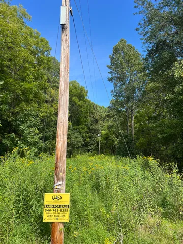 a view of a tree with a park