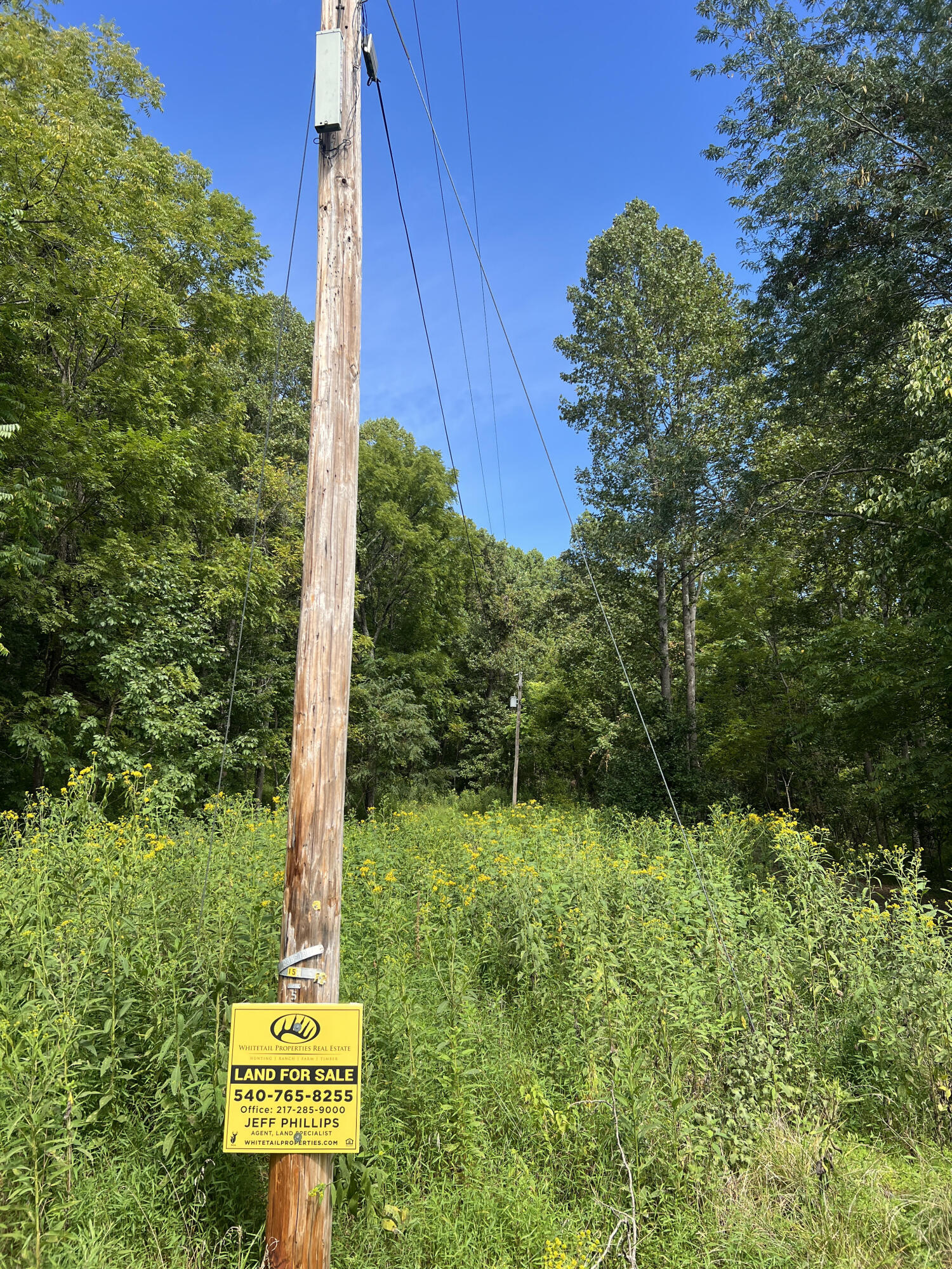0 Nemmo Road Vinton, VA 24179 - Photo 15 of 18 a view of a tree with a park