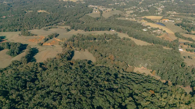 a view of a lake with a mountain