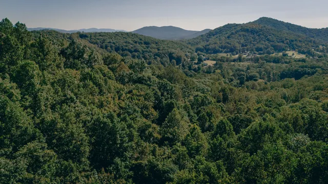 a view of a mountain in the distance in a field