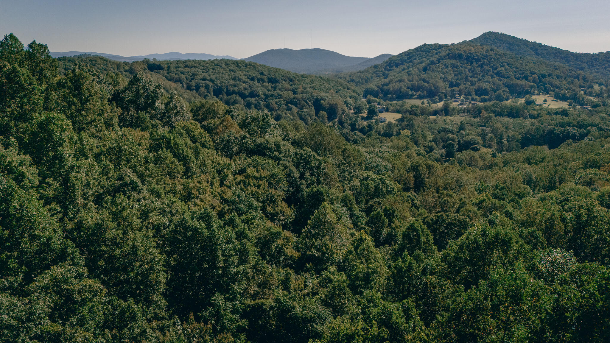 0 Nemmo Road Vinton, VA 24179 - Photo 8 of 18 a view of a mountain in the distance in a field