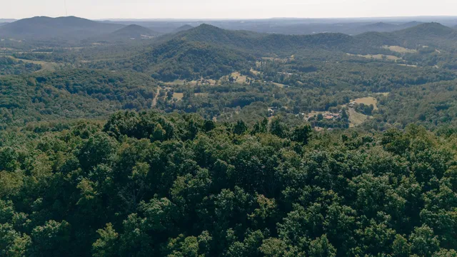 a view of a large mountain with trees in the background