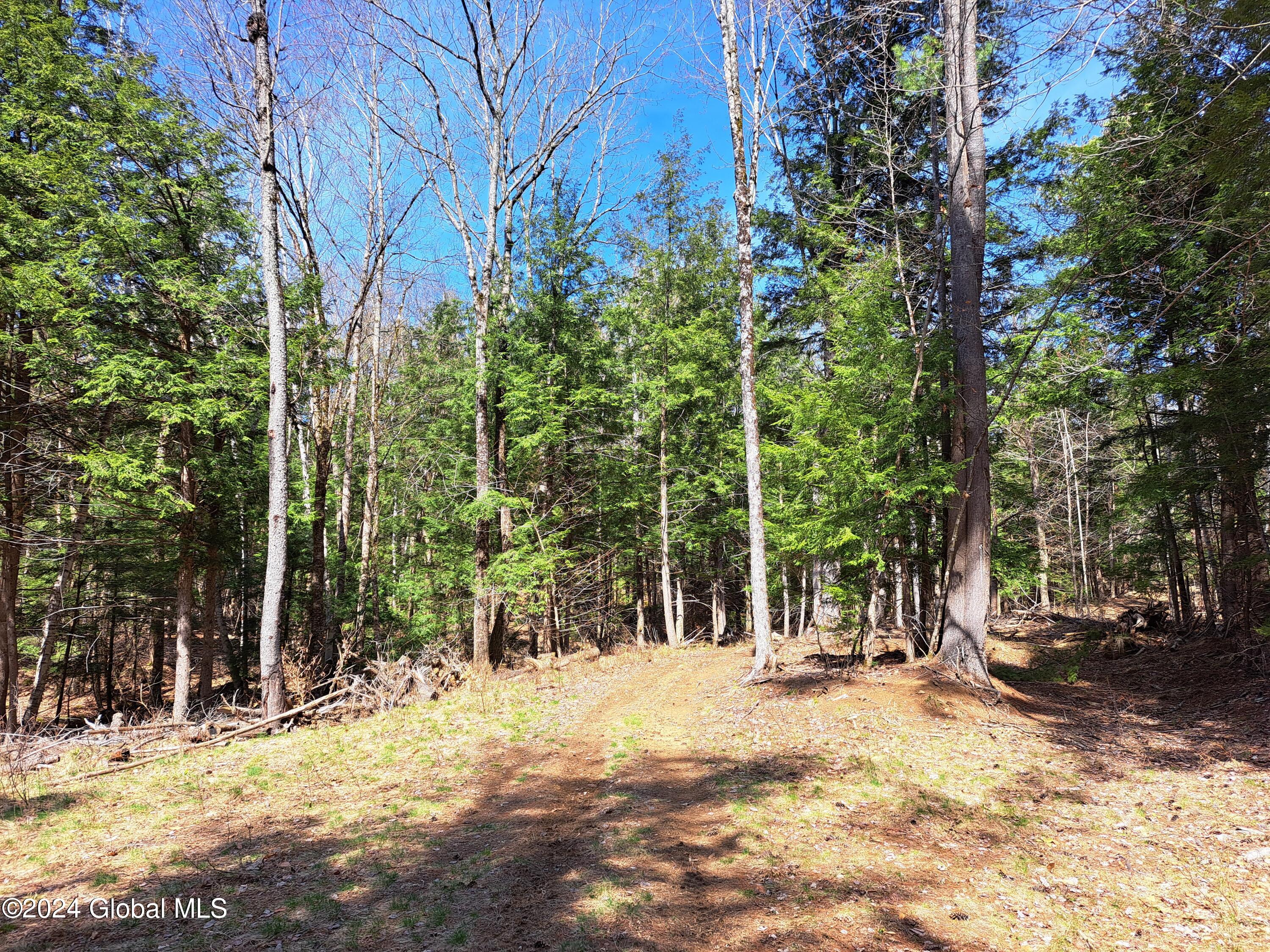 L21.1 Golf Course Road Warrensburg, NY 12885 - Photo 32 of 49 32 The Road In