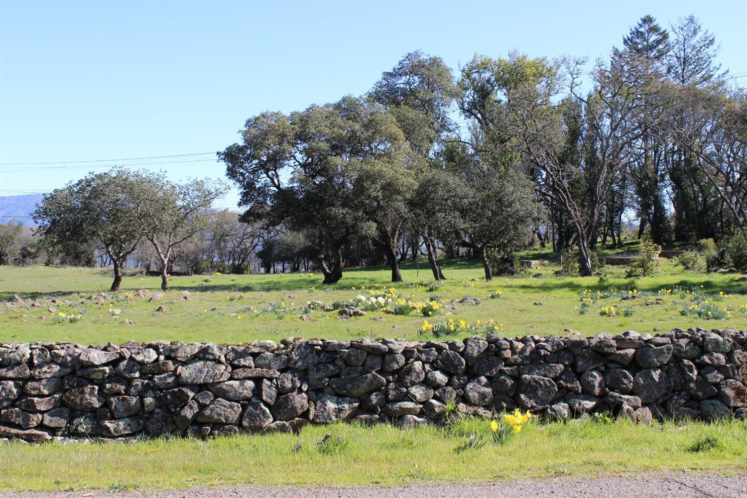 2955 Old Bennett Ridge Road Santa Rosa, CA 95404 - Photo 1 of 1 a view of a yard with wooden fence
