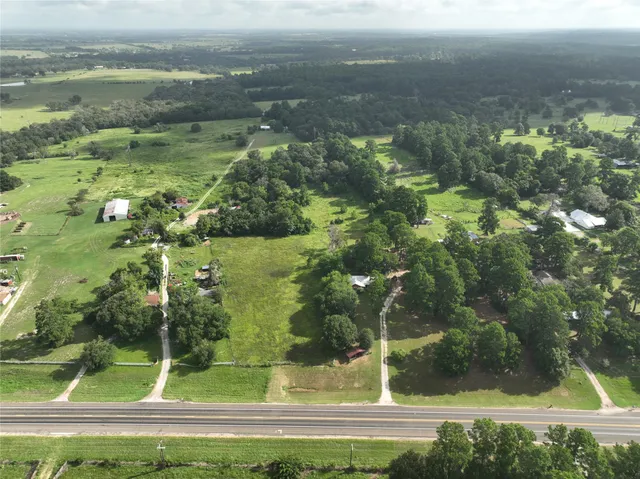 a view of a garden with plants and large trees