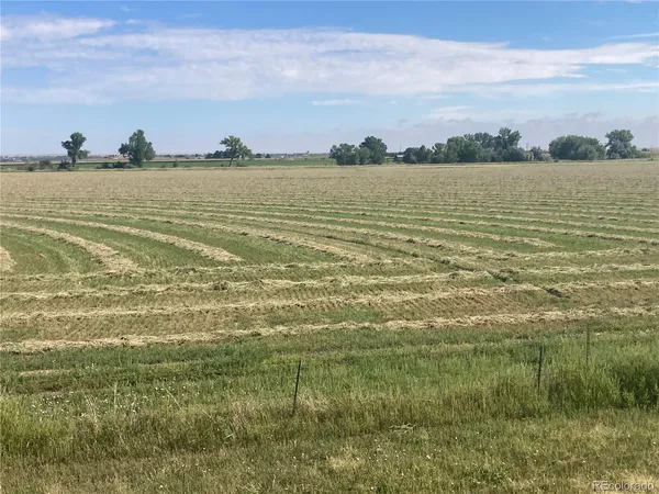 a view of an ocean and beach