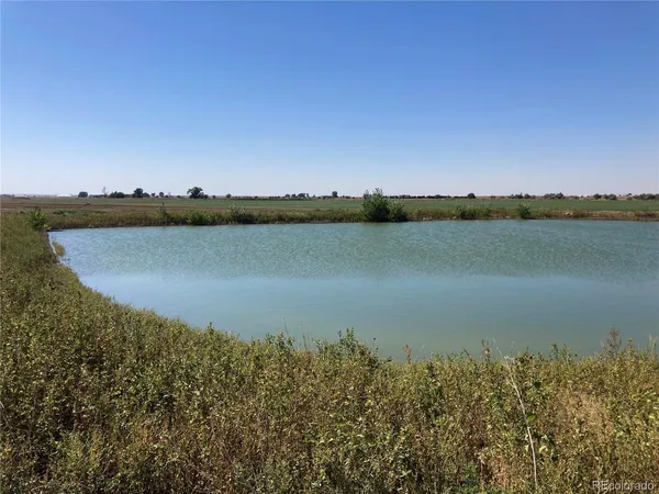 a view of a lake from a city