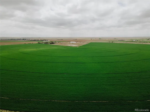 a backyard of a house with lots of green space and fog